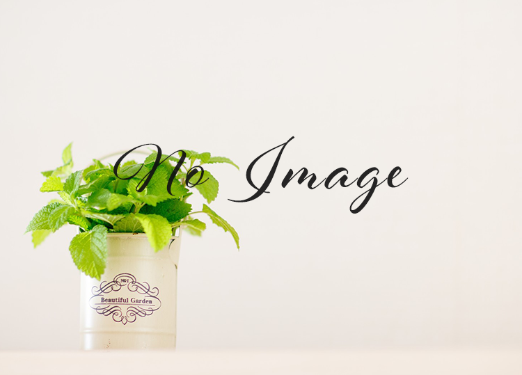 オプションメニューの紹介③