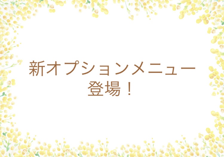 オプションメニューのお知らせ