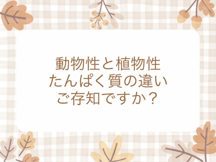 タンパク質について
