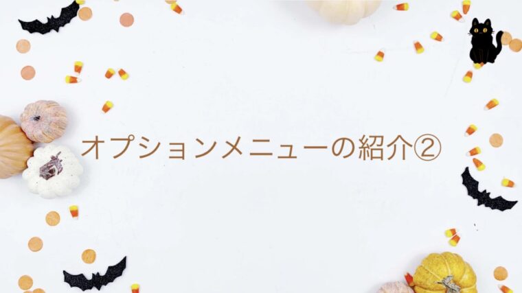 オプションメニュー紹介②