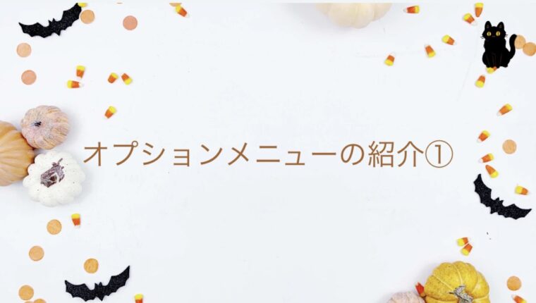 オプションメニュー紹介①